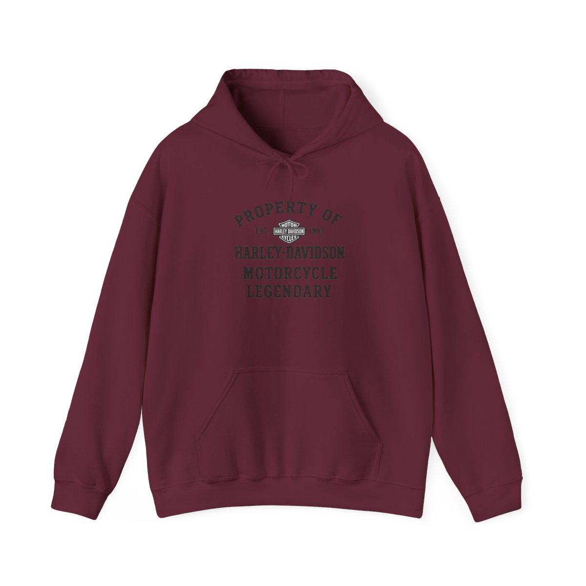 Harley-Davidson "PROPERTY OF EST. 1903 HARLEY-DAVIDSON" Hoodie - alternate angle 2, merchandise