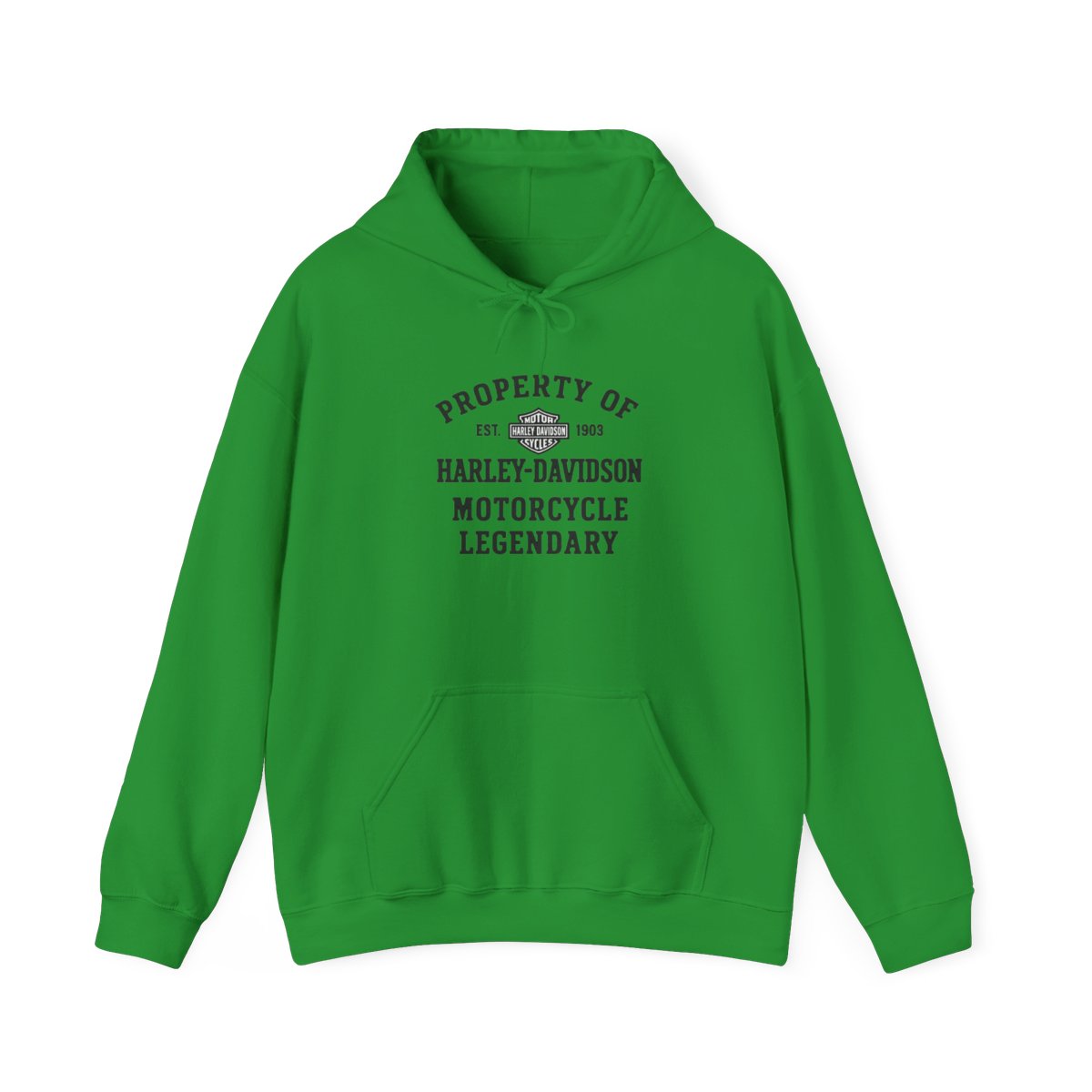 Harley-Davidson "PROPERTY OF EST. 1903 HARLEY-DAVIDSON" Hoodie - alternate angle 5, merchandise