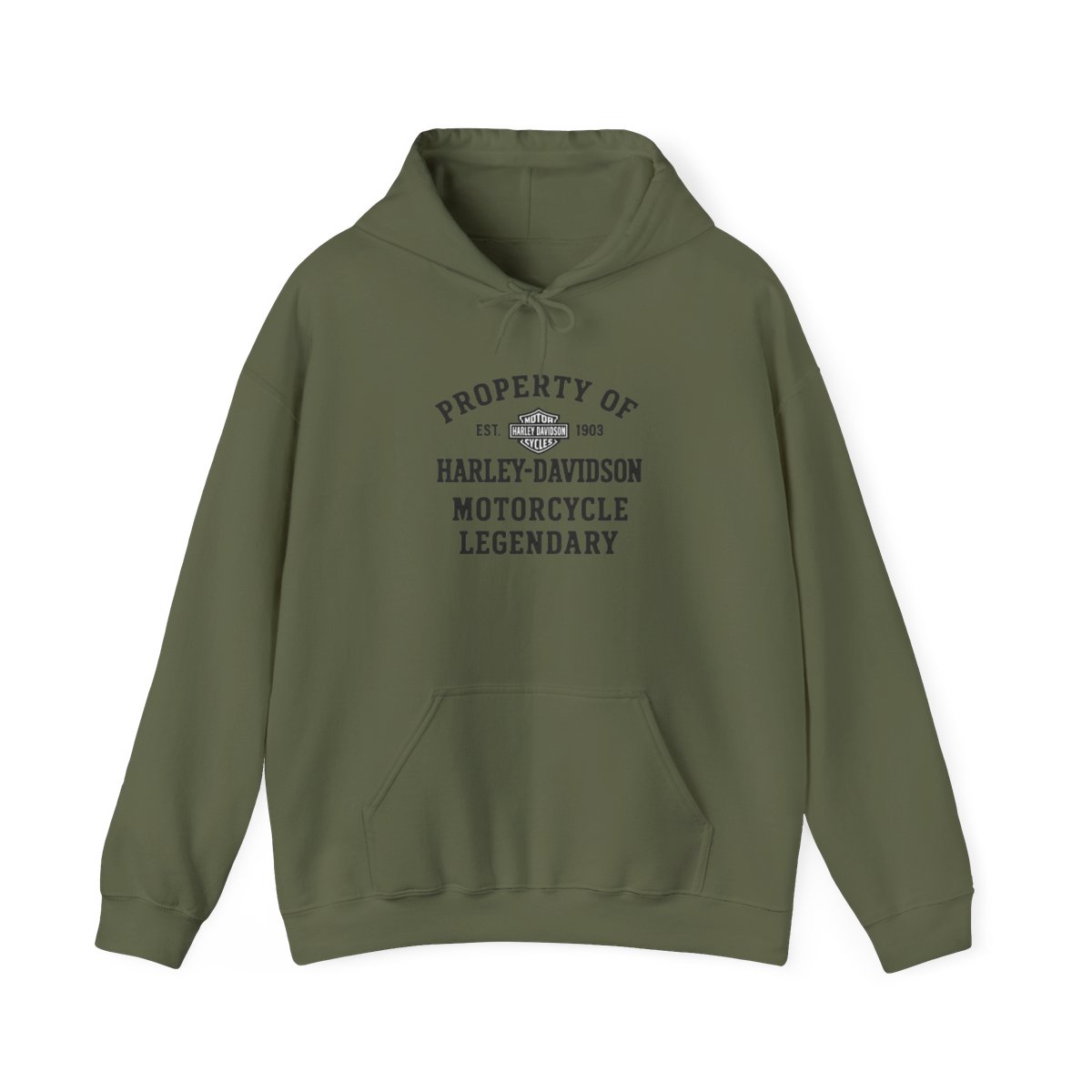 Harley-Davidson "PROPERTY OF EST. 1903 HARLEY-DAVIDSON" Hoodie - alternate angle 3, merchandise